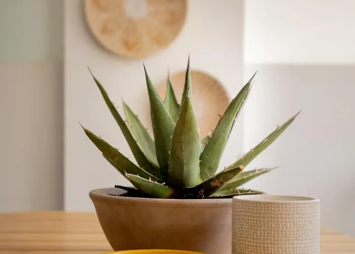 Port-avenue, Design-wohnung, Pool, Strandnah * Марбелья